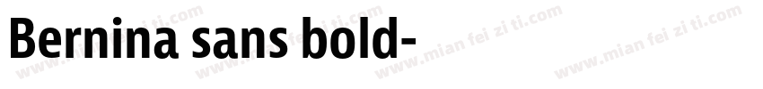 Bernina sans bold字体转换